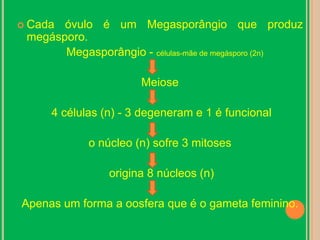 Cada óvulo é um Megasporângio que produz megásporo.Megasporângio - células-mãe de megásporo (2n) Meiose 4 células (n) - 3 degeneram e 1 é funcionalo núcleo (n) sofre 3 mitoses  origina 8 núcleos (n)Apenas um forma a oosfera que é o gameta feminino.