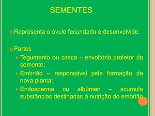 SEMENTESRepresenta o óvulo fecundado e desenvolvido.PartesTegumento ou casca – envoltório protetor da semente;Embrião – responsável pela formação da nova planta;Endosperma ou albúmen – acumula substâncias destinadas à nutrição do embrião