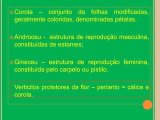 Corola – conjunto de folhas modificadas, geralmente coloridas, denominadas pétalas.Androceu -  estrutura de reprodução masculina, constituídas de estames;Gineceu – estrutura de reprodução feminina, constituída pelo carpelo ou pistilo.	Verticilos protetores da flor – perianto = cálice e corola.