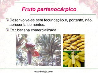 www.bioloja.com
Fruto partenocárpico
Desenvolve-se sem fecundação e, portanto, não
apresenta sementes.
Ex.: banana comercializada.
 