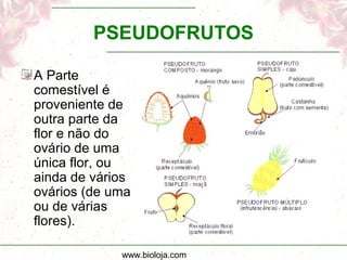 www.bioloja.com
PSEUDOFRUTOS
A Parte
comestível é
proveniente de
outra parte da
flor e não do
ovário de uma
única flor, ou
ainda de vários
ovários (de uma
ou de várias
flores).
 