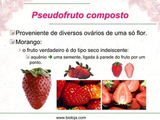 www.bioloja.com
Pseudofruto composto
Proveniente de diversos ovários de uma só flor.
Morango:
o fruto verdadeiro é do tipo seco indeiscente:
aquênio  uma semente, ligada à parede do fruto por um
ponto.
 