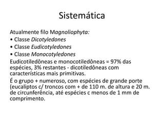 Sistemática
Atualmente filo Magnoliophyta:
• Classe Dicotyledones
• Classe Eudicotyledones
• Classe Monocotyledones
Eudicotiledôneas e monocotiledôneas = 97% das
espécies, 3% restantes - dicotiledôneas com
características mais primitivas.
É o grupo + numeroso, com espécies de grande porte
(eucaliptos c/ troncos com + de 110 m. de altura e 20 m.
de circunferência, até espécies c menos de 1 mm de
comprimento.
 
