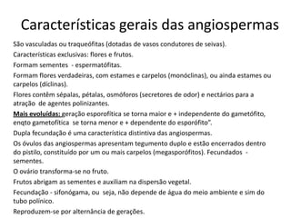 Características gerais das angiospermas
São vasculadas ou traqueófitas (dotadas de vasos condutores de seivas).
Características exclusivas: flores e frutos.
Formam sementes - espermatófitas.
Formam flores verdadeiras, com estames e carpelos (monóclinas), ou ainda estames ou
carpelos (díclinas).
Flores contêm sépalas, pétalas, osmóforos (secretores de odor) e nectários para a
atração de agentes polinizantes.
Mais evoluídas: geração esporofítica se torna maior e + independente do gametófito,
enqto gametofítica se torna menor e + dependente do esporófito”.
Dupla fecundação é uma característica distintiva das angiospermas.
Os óvulos das angiospermas apresentam tegumento duplo e estão encerrados dentro
do pistilo, constituído por um ou mais carpelos (megasporófitos). Fecundados -
sementes.
O ovário transforma-se no fruto.
Frutos abrigam as sementes e auxiliam na dispersão vegetal.
Fecundação - sifonógama, ou seja, não depende de água do meio ambiente e sim do
tubo polínico.
Reproduzem-se por alternância de gerações.
 