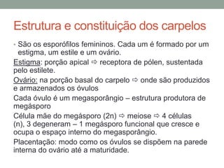 Estrutura e constituição dos carpelos
• São os esporófilos femininos. Cada um é formado por um
  estigma, um estile e um ovário.
Estigma: porção apical  receptora de pólen, sustentada
pelo estilete.
Ovário: na porção basal do carpelo  onde são produzidos
e armazenados os óvulos
Cada óvulo é um megasporângio – estrutura produtora de
megásporo
Célula mãe do megásporo (2n)  meiose  4 células
(n), 3 degeneram – 1 megásporo funcional que cresce e
ocupa o espaço interno do megasporângio.
Placentação: modo como os óvulos se dispõem na parede
interna do ovário até a maturidade.
 