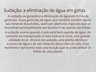 Sudação: a eliminação de água em gotas
A sudação ou gutação é a eliminação de água em forma de
gotículas. Essas gotículas de água, que também contêm alguns
sais minerais dissolvidos, saem por aberturas especiais que se
encontram principalmente nos bordos e nas pontas das folhas.
A sudação ocorre quando o solo está bem suprido de água. Ao
contrário da transpiração, é mais intensa à noite, com grande
umidade do ar. Através da sudação, uma planta elimina o
excesso de água e de sais minerais absorvidos do solo. Esse
fenômeno representa mais uma função que se pode atribuir às
folhas de uma planta.

 