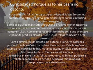 Curiosidade...Porque as folhas caem no
outono?
As quedas das folhas faz parte de uma estratégia das árvores no
outono. Esta estratégia serve para se proteger do frio e reduzir o
gasto com energia.
Como os dias são mais curtos no outono e há uma menor incidência
de luz solar, as árvores precisam mudar sua características para se
manterem vivas. Com menos luz solar a primeira coisa que acontece
é parar de produzir clorofila. Por isso, as folhas começam a ficar
amareladas.
Com a diminuição da clorofila no outono, as árvores passam a
produzir um hormônio chamado ácido abscísico. Este hormônio se
acumula na haste das folhas, matando qualquer célula desta região.
Com isso a haste se rompe e as folhas caem.
Sem precisar alimentar as folhas no outono, as árvores podem se
manter aquecida neste período de baixas temperaturas.
Esse processo dura até o inverno.

 