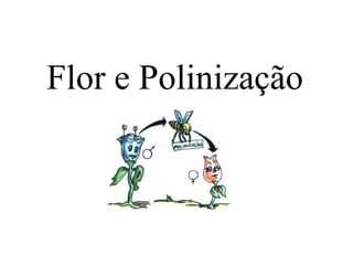 Flor e Polinização
 