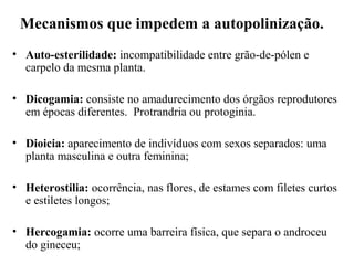 Mecanismos que impedem a autopolinização.
• Auto-esterilidade: incompatibilidade entre grão-de-pólen e
carpelo da mesma planta.
• Dicogamia: consiste no amadurecimento dos órgãos reprodutores
em épocas diferentes. Protrandria ou protoginia.
• Dioicia: aparecimento de indivíduos com sexos separados: uma
planta masculina e outra feminina;
• Heterostilia: ocorrência, nas flores, de estames com filetes curtos
e estiletes longos;
• Hercogamia: ocorre uma barreira física, que separa o androceu
do gineceu;
 