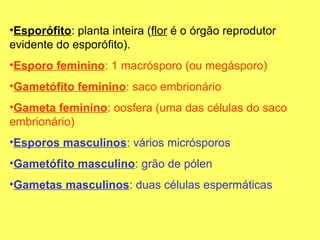 •Esporófito: planta inteira (flor é o órgão reprodutor
evidente do esporófito).
•Esporo feminino: 1 macrósporo (ou megásporo)
•Gametófito feminino: saco embrionário
•Gameta feminino: oosfera (uma das células do saco
embrionário)
•Esporos masculinos: vários micrósporos
•Gametófito masculino: grão de pólen
•Gametas masculinos: duas células espermáticas
 
