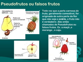 Pseudofrutos ou falsos frutos
• Toda vez que a parte carnosa do
fruto, geralmente comestível, for
originada de outra parte da flor
que não seja o ovário, o fruto não
é verdadeiro .São então
chamados de Pseudofrutos ou
falsos frutos. Ex. a maçã ,o
morango , o caju.
 