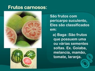 Frutos carnosos:
São frutos com
pericarpo suculento,
Eles são classificados
em:
a) Baga :São frutos
que possuem uma
ou várias sementes
soltas. Ex. Goiaba,
melancia, mamão,
tomate, laranja.
 