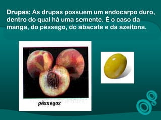 Drupas: As drupas possuem um endocarpo duro,
dentro do qual há uma semente. É o caso da
manga, do pêssego, do abacate e da azeitona.
 