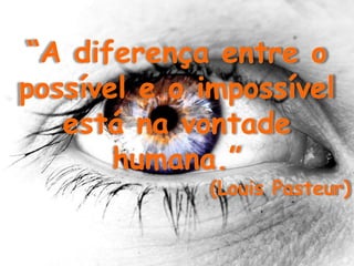 Angiospermas Prof. Marcos Santos