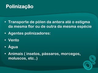 Polinização
• Transporte de pólen da antera até o estigma
da mesma flor ou de outra da mesma espécie
• Agentes polinizadores:
• Vento
• Água
• Animais ( insetos, pássaros, morcegos,
moluscos, etc..)
 