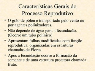 Características Gerais do 
Processo Reprodutivo 
• O grão de pólen é transportado pelo vento ou 
por agentes polinizadores. 
• Não depende de água para a fecundação. 
(Ocorre um tubo polínico) 
• Apresentam folhas modificadas com função 
reprodutiva, organizadas em estruturas 
chamadas de Flores 
• Após a fecundação ocorre a formação da 
semente e de uma estrutura protetora chamada 
fruto. 
