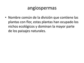 angiospermas 
• Nombre común de la división que contiene las 
plantas con flor, estas plantas han ocupado los 
nichos ecológicos y dominan la mayor parte 
de los paisajes naturales. 
