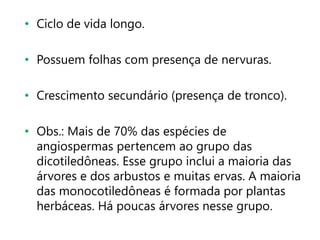 • Ciclo de vida longo.
• Possuem folhas com presença de nervuras.
• Crescimento secundário (presença de tronco).
• Obs.: Mais de 70% das espécies de
angiospermas pertencem ao grupo das
dicotiledôneas. Esse grupo inclui a maioria das
árvores e dos arbustos e muitas ervas. A maioria
das monocotiledôneas é formada por plantas
herbáceas. Há poucas árvores nesse grupo.
 