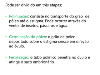 Pode ser dividido em três etapas:
• Polinização: consiste no transporte do grão de
pólen até o estigma. Pode ocorrer através do
vento, de insetos, pássaros e água.
• Germinação do pólen: o grão de pólen
depositado sobre o estigma cresce em direção
ao óvulo.
• Fertilização: o tubo polínico penetra no óvulo e
atinge o saco embrionário.
 