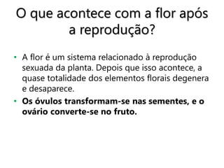 O que acontece com a flor após
a reprodução?
• A flor é um sistema relacionado à reprodução
sexuada da planta. Depois que isso acontece, a
quase totalidade dos elementos florais degenera
e desaparece.
• Os óvulos transformam-se nas sementes, e o
ovário converte-se no fruto.
 