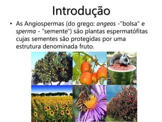 Introdução
• As Angiospermas (do grego: angeos -"bolsa" e
sperma - "semente") são plantas espermatófitas
cujas sementes são protegidas por uma
estrutura denominada fruto.
 