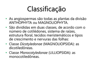 Classificação
• As angiospermas são todas as plantas da divisão
ANTHOPHYTA ou MAGNOLIOPHYTA.
• São divididas em duas classes, de acordo com o
número de cotilédones, sistema de raízes,
estrutura floral, tecidos meristemáticos e tipos
de crescimento e nervuras das folhas:
• Classe Dicotyledonae (MAGNOLIOPSIDA): as
dicotiledôneas.
• Classe Monocotyledonae (LILLIOPSIDA): as
monocotiledôneas.
 