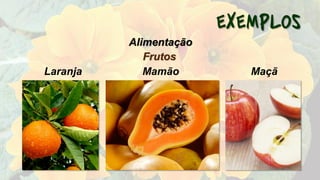 Frutos
Laranja Mamão Maçã
Alimentação
 