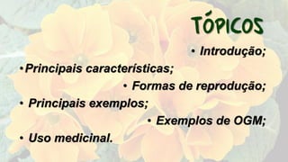 • Introdução;
•Principais características;
• Formas de reprodução;
• Principais exemplos;
• Exemplos de OGM;
• Uso medicinal.
 