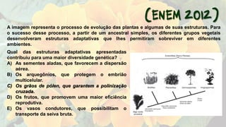 A imagem representa o processo de evolução das plantas e algumas de suas estruturas. Para
o sucesso desse processo, a partir de um ancestral simples, os diferentes grupos vegetais
desenvolveram estruturas adaptativas que lhes permitiram sobreviver em diferentes
ambientes.
Qual das estruturas adaptativas apresentadas
contribuiu para uma maior diversidade genética?
A) As sementes aladas, que favorecem a dispersão
aérea.
B) Os arquegônios, que protegem o embrião
multicelular.
C) Os grãos de pólen, que garantem a polinização
cruzada.
D) Os frutos, que promovem uma maior eficiência
reprodutiva.
E) Os vasos condutores, que possibilitam o
transporte da seiva bruta.
 