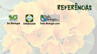 Só Biologia InfoEscola Toda Biologia.com
 