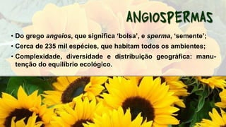 • Do grego angeios, que significa ‘bolsa’, e sperma, ‘semente’;
• Cerca de 235 mil espécies, que habitam todos os ambientes;
• Complexidade, diversidade e distribuição geográfica: manu-
tenção do equilíbrio ecológico.
 