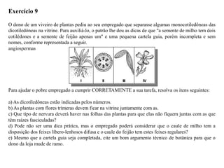 Exercício 9
O dono de um viveiro de plantas pediu ao seu empregado que separasse algumas monocotiledôneas das
dicotiledôneas na vitrine. Para auxiliá-lo, o patrão lhe deu as dicas de que "a semente de milho tem dois
cotilédones e a semente de feijão apenas um" e uma pequena cartela guia, porém incompleta e sem
nomes, conforme representada a seguir.
angiospermas
Para ajudar o pobre empregado a cumprir CORRETAMENTE a sua tarefa, resolva os itens seguintes:
a) As dicotiledôneas estão indicadas pelos números.
b) As plantas com flores trímeras devem ficar na vitrine juntamente com as.
c) Que tipo de nervura deverá haver nas folhas das plantas para que elas não fiquem juntas com as que
têm raízes fasciculadas?
d) Pode não ser uma dica prática, mas o empregado poderá considerar que o caule de milho tem a
disposição dos feixes líbero-lenhosos difusa e o caule do feijão tem estes feixes regulares?
e) Mesmo que a cartela guia seja completada, cite um bom argumento técnico de botânica para que o
dono da loja mude de ramo.
 