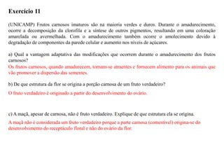 Exercício 11
(UNICAMP) Frutos carnosos imaturos são na maioria verdes e duros. Durante o amadurecimento,
ocorre a decomposição da clorofila e a síntese de outros pigmentos, resultando em uma coloração
amarelada ou avermelhada. Com o amadurecimento também ocorre o amolecimento devido à
degradação de componentes da parede celular e aumento nos níveis de açúcares.
a) Qual a vantagem adaptativa das modificações que ocorrem durante o amadurecimento dos frutos
carnosos?
b) De que estrutura da flor se origina a porção carnosa de um fruto verdadeiro?
c) A maçã, apesar de carnosa, não é fruto verdadeiro. Explique de que estrutura ela se origina.
Os frutos carnosos, quando amadurecem, tornam-se atraentes e fornecem alimento para os animais que
vão promover a dispersão das sementes.
O fruto verdadeiro é originado a partir do desenvolvimento do ovário.
A maçã não é considerada um fruto verdadeiro porque a parte carnosa (comestível) origina-se do
desenvolvimento do receptáculo floral e não do ovário da flor.
 