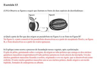 Exercício 13
(UFG) Observe as figuras a seguir que ilustram os frutos de duas espécies de dicotiledôneas:
a) Qual a parte da flor que deu origem ao pseudofruto na Figura A e ao fruto na Figura B?
b) Explique como ocorre o processo de fecundação nesses vegetais, após a polinização.
Na figura A, a parte comestível do pseudofruto desenvolveu-se a partir do receptáculo floral e, na figura
B, o fruto desenvolveu-se a partir do ovário (gineceu).
O grão de pólen, germinando sobre o estigma, dá origem ao tubo polínico que carrega os dois núcleos
gaméticos masculinos (espermáticos).O tubo polínico penetra no óvulo através da micrópila. Um dos
núcleos gaméticos masculino fecunda a oosfera, originando o ovo ou zigoto, que se desenvolverá como
embrião. O outro núcleo gamético masculino une-se aos núcleos polares, dando origem a um tecido
triplóide, formador do endosperma ou albume.
 