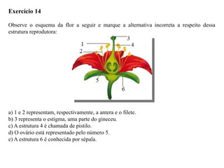 Exercício 14
Observe o esquema da flor a seguir e marque a alternativa incorreta a respeito dessa
estrutura reprodutora:
a) 1 e 2 representam, respectivamente, a antera e o filete.
b) 3 representa o estigma, uma parte do gineceu.
c) A estrutura 4 é chamada de pistilo.
d) O ovário está representado pelo número 5.
e) A estrutura 6 é conhecida por sépala.
 