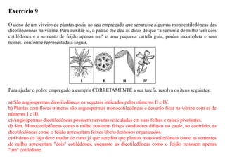 Exercício 9
O dono de um viveiro de plantas pediu ao seu empregado que separasse algumas monocotiledôneas das
dicotiledôneas na vitrine. Para auxiliá-lo, o patrão lhe deu as dicas de que "a semente de milho tem dois
cotilédones e a semente de feijão apenas um" e uma pequena cartela guia, porém incompleta e sem
nomes, conforme representada a seguir.
Para ajudar o pobre empregado a cumprir CORRETAMENTE a sua tarefa, resolva os itens seguintes:
a) São angiospermas dicotiledôneas os vegetais indicados pelos números II e IV.
b) Plantas com flores trímeras são angiospermas monocotiledôneas e deverão ficar na vitrine com as de
números I e III.
c) Angiospermas dicotiledôneas possuem nervuras reticuladas em suas folhas e raízes pivotantes.
d) Sim. Monocotiledôneas como o milho possuem feixes condutores difusos no caule, ao contrário, as
dicotiledôneas como o feijão apresentam feixes líbero-lenhosos organizados.
e) O dono da loja deve mudar de ramo já que acredita que plantas monocotiledôneas como as sementes
do milho apresentam "dois" cotilédones, enquanto as dicotiledôneas como o feijão possuem apenas
"um" cotilédone.
 