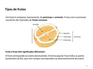 Tipos de frutos
Fruto e fruta têm significados diferentes!
Um fruto é composto, basicamente, de pericarpo e semente. Frutos com o pericarpo
suculento são chamados de frutos carnosos.
O fruto corresponde ao ovário desenvolvido. O termo popular fruta indica as partes
comestíveis da flor, que nem sempre correspondem ao desenvolvimento do ovário.
HIROESASAKI/ARQUIVODAEDITORA
semente
epicarpo
mesocarpo
endocarpo
pericarpo
13
 