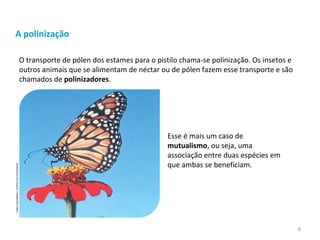 A polinização
Esse é mais um caso de
mutualismo, ou seja, uma
associação entre duas espécies em
que ambas se beneficiam.
O transporte de pólen dos estames para o pistilo chama-se polinização. Os insetos e
outros animais que se alimentam de néctar ou de pólen fazem esse transporte e são
chamados de polinizadores.
FABIOCOLOMBINI/ACERVODOFOTÓGRAFO
6
 