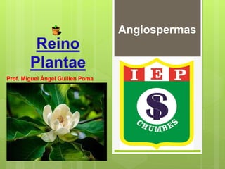 Reino
Plantae
Prof. Miguel Ángel Guillen Poma
Angiospermas
 