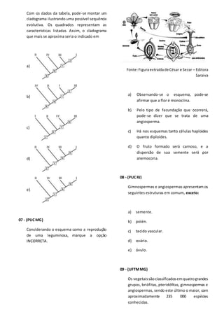 Com os dados da tabela, pode-se montar um
cladograma ilustrando uma possível sequência
evolutiva. Os quadrados representam as
características listadas. Assim, o cladograma
que mais se aproxima seria o indicado em
a)
b)
c)
d)
e)
07 - (PUCMG)
Considerando o esquema como a reprodução
de uma leguminosa, marque a opção
INCORRETA.
Fonte:Figuraextraídade César e Sezar – Editora
Saraiva
a) Observando-se o esquema, pode-se
afirmar que a flor é monoclina.
b) Pelo tipo de fecundação que ocorrerá,
pode-se dizer que se trata de uma
angiosperma.
c) Há nos esquemas tanto células haploides
quanto diploides.
d) O fruto formado será carnoso, e a
dispersão de sua semente será por
anemocoria.
08 - (PUCRJ)
Gimnospermas e angiospermas apresentam os
seguintes estruturas em comum, exceto:
a) semente.
b) polén.
c) tecido vascular.
d) ovário.
e) óvulo.
09 - (UFTMMG)
Os vegetaissãoclassificadosemquatrograndes
grupos, briófitas, pteridófitas, gimnospermas e
angiospermas, sendo este último o maior, com
aproximadamente 235 000 espécies
conhecidas.
 