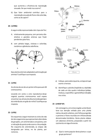 que aumenta a eficiência da reprodução
sexuada. De que modo isso ocorre?
b) Que fator ambiental contribui para a
reproduçãosexuadade floresnãocoloridas,
como as do capim?
20 - (UFRRJ)
A seguirestãorepresentados dois tipos de flor:
A. relativamente pequena, com perianto não-
atrativo e grandes antenas que ficam
pendentes para fora.
B. com pétalas largas, vistosas e coloridas;
nectários e glândulas odoríferas.
Que plantaestámaisadaptadaà polinização por
animais? Justifique sua resposta.
21 - (UFRJ)
Ascélulasdaraizde um pé de milhopossuem20
cromossomos.
Levando em conta o ciclo reprodutivo desse
vegetal, quantos cromossomos você espera
encontrarnascélulasdoalbume(endosperma) e
do embriãode um grão de milho?Justifiquesua
resposta.
22 - (UFRJ)
Os esquemasa seguirmostramos ciclos de vida
de doisorganismosque apresentamalternância
de gerações,um celenteradoe umaplanta,com
a indicaçãodo pontoonde ocorre a fecundação.
No esquema do celenterado, as etapas são
designadas por letras, no da planta, por
números.
a) Indique,paracadaesquema,aetapaemque
ocorre a meiose.
b) Identifique a ploidia (haplóide ou diplóide)
de cada um dos quatro indivíduos (pólipo,
medusa, esporófito e gametófito) indicados
nos ciclos.
23 - (UNESP SP)
Um estrangeiro,emvisitaàregião sul do Brasil,
teve sua atenção voltada para uma planta
nativa,de porte arbóreo,com folhaspungentes
e perenes e flores reunidas em inflorescências
denominadas Estróbilos. Desta planta obteve
um saboroso alimento, preparado a partir do
cozimento em água fervente.
a) Qual o nome popular desta planta e a que
grupo pertence?
 