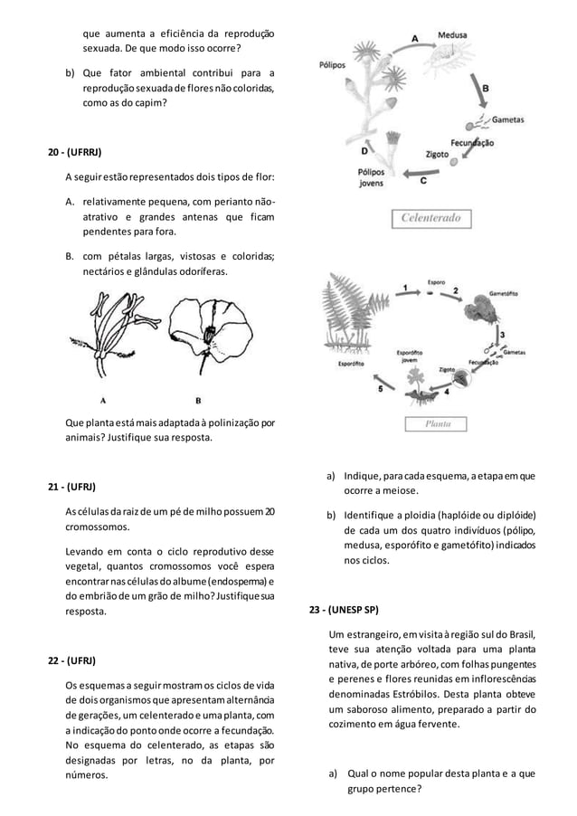 Angiospermas 2014 exercicios sobre plantas | PDF