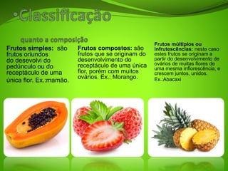 Frutos simples: são
frutos oriundos
do desevolvi do
pedúnculo ou do
receptáculo de uma
única flor. Ex.:mamão.
Frutos compostos: são
frutos que se originam do
desenvolvimento do
receptáculo de uma única
flor, porém com muitos
ovários. Ex.: Morango.
Frutos múltiplos ou
infrutescências: neste caso
estes frutos se originam a
partir do desenvolvimento de
ovários de muitas flores de
uma mesma inflorescência, e
crescem juntos, unidos.
Ex.:Abacaxi
 
