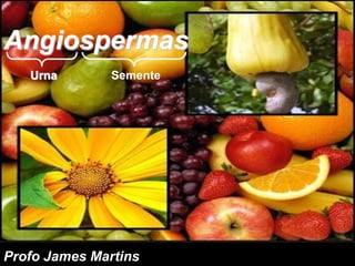 Angiospermas
Urna Semente
Profo James Martins
 