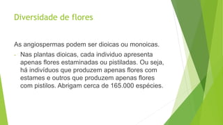 Diversidade de flores
As angiospermas podem ser dioicas ou monoicas.
- Nas plantas dioicas, cada individuo apresenta
apenas flores estaminadas ou pistiladas. Ou seja,
há indivíduos que produzem apenas flores com
estames e outros que produzem apenas flores
com pistilos. Abrigam cerca de 165.000 espécies.
 