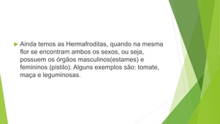  Ainda temos as Hermafroditas, quando na mesma
flor se encontram ambos os sexos, ou seja,
possuem os órgãos masculinos(estames) e
femininos (pistilo). Alguns exemplos são: tomate,
maça e leguminosas.
 