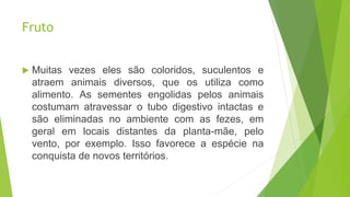 Fruto
 Muitas vezes eles são coloridos, suculentos e
atraem animais diversos, que os utiliza como
alimento. As sementes engolidas pelos animais
costumam atravessar o tubo digestivo intactas e
são eliminadas no ambiente com as fezes, em
geral em locais distantes da planta-mãe, pelo
vento, por exemplo. Isso favorece a espécie na
conquista de novos territórios.
 