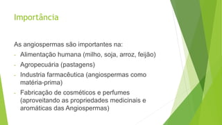 Importância
As angiospermas são importantes na:
- Alimentação humana (milho, soja, arroz, feijão)
- Agropecuária (pastagens)
- Industria farmacêutica (angiospermas como
matéria-prima)
- Fabricação de cosméticos e perfumes
(aproveitando as propriedades medicinais e
aromáticas das Angiospermas)
 