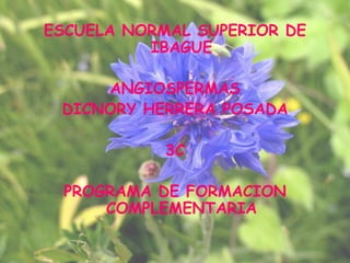 ESCUELA NORMAL SUPERIOR DE
          IBAGUE

     ANGIOSPERMAS
 DICNORY HERRERA POSADA

            3C

 PROGRAMA DE FORMACION
     COMPLEMENTARIA
 