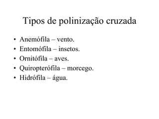 Tipos de polinização cruzada Anemófila – vento. Entomófila – insetos. Ornitófila – aves. Quiropterófila – morcego. Hidrófila – água. 